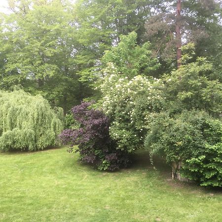 Domaine De Chantemerles Fontainebleau Dış mekan fotoğraf